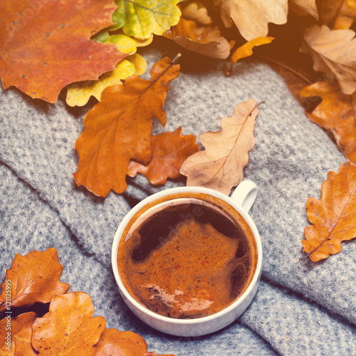 Autumn background with hot coffee cup over autumn colourful leav