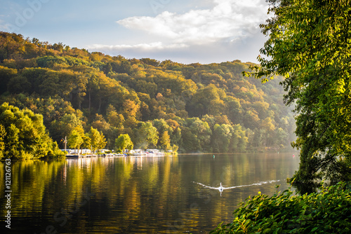 Schwan auf herbstlichem Flu  