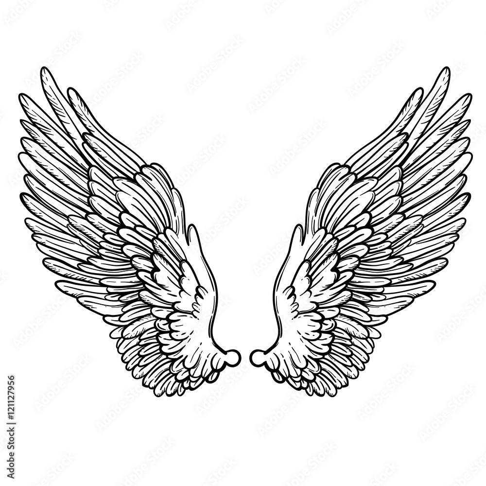 Line art illustration of angel wings. Hand drawn vector card. Sketch ...
