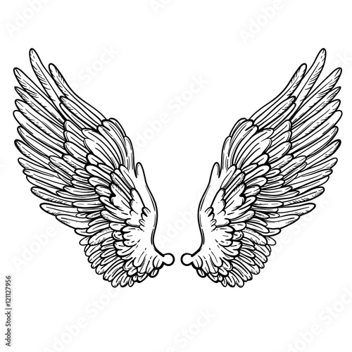 Line art illustration of angel wings. Hand drawn vector card. Sketch for dotwork tattoo, hipster t-shirt design, vintage style posters. Coloring book for kids and adults.