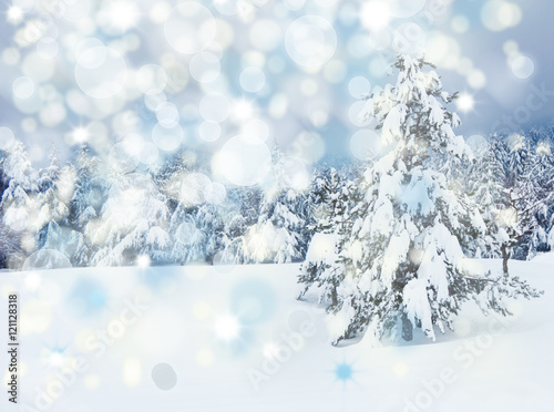 Christmas tree in forest under snow © Maresol