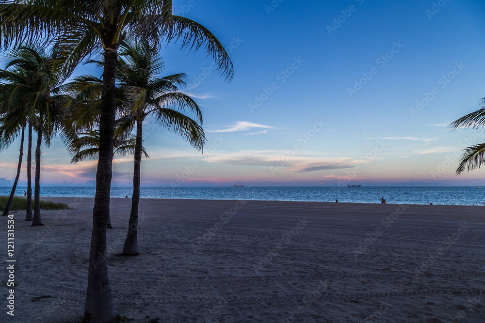 Beautiful tropical beach/tropical beach with palm trees on evening blue sky background.