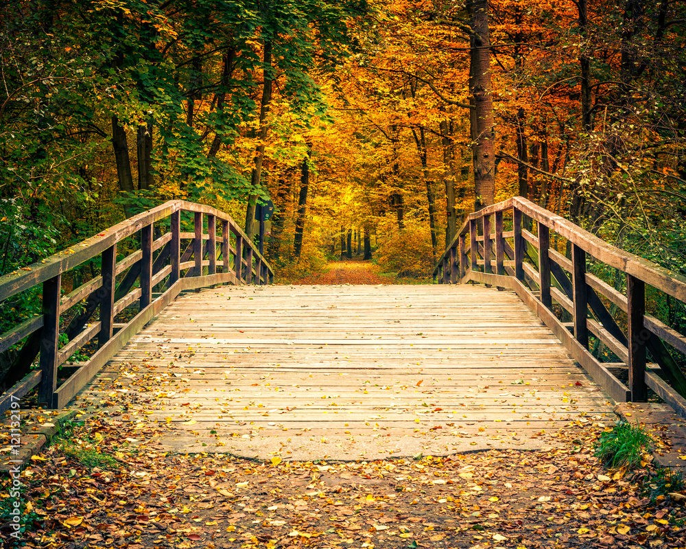 Fototapeta Wooden bridge in the autumn forest
