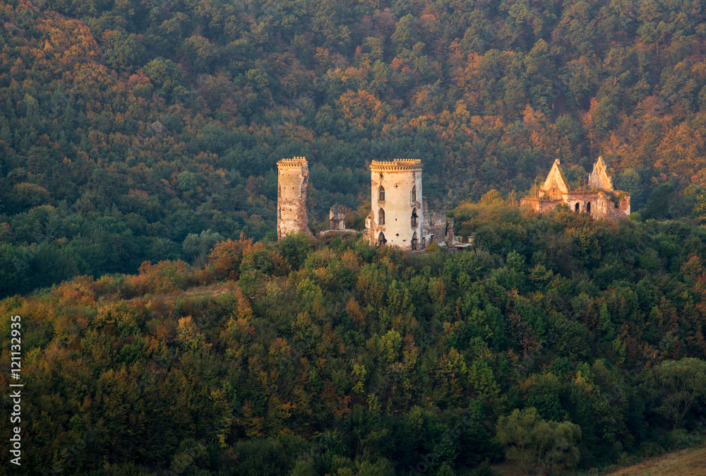 Ruins of Chervonohorod Castle