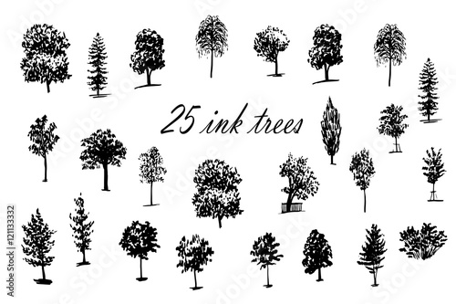 drawing set of 25 trees ink sketch hand-drawn vector illustration