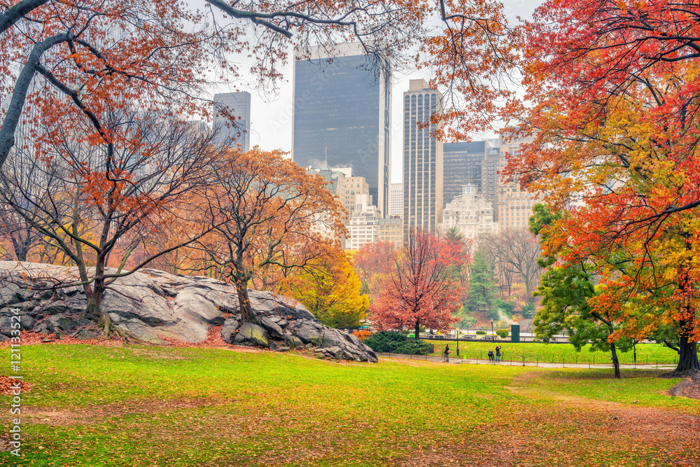 Naklejka premium Central park w deszczowy dzień, Nowy Jork, USA