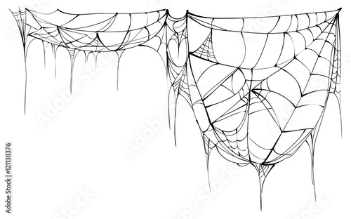 Spider web isolated on white background