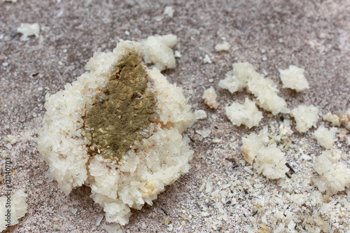Fungus on rancid rice