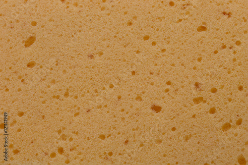 Sponge texture