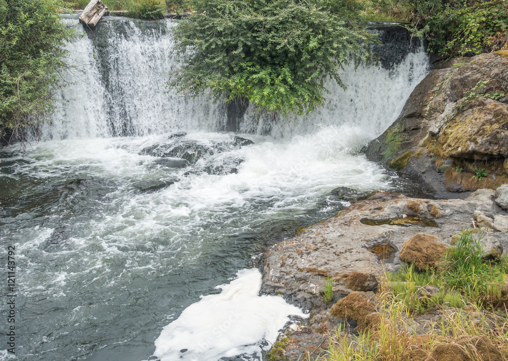 Naklejka premium Tumwater Falls Section 6