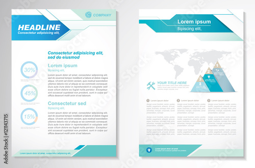 Vector Brochure Flyer design Layout template, size A4, Front page and back page, infographics. Easy to use and edit.