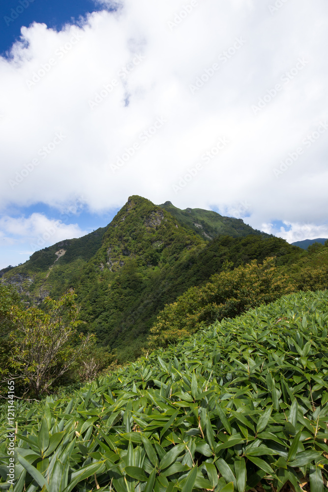 Fototapeta premium 登山道からみた寒風山（かんぷうざん）を望む爽やかな自然景観