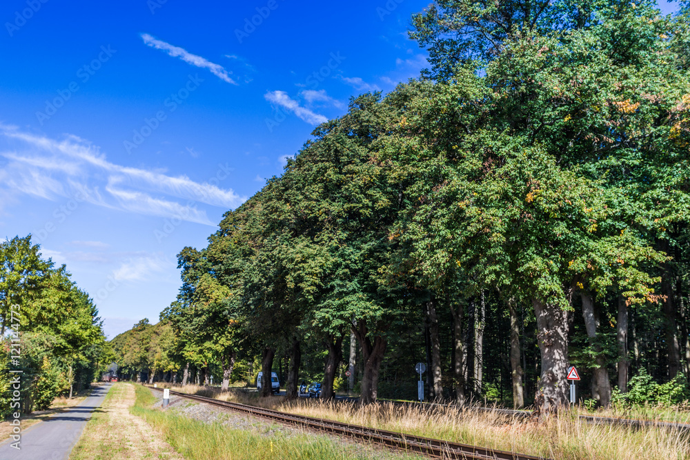 schmalspurbahn molli schmalspurbahn molli