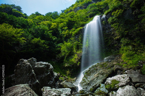 程野の滝 西滝（高知県いの町）