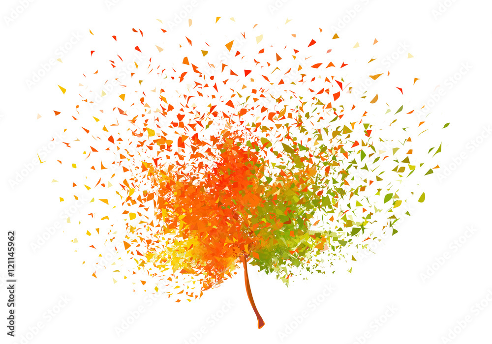 Colorful autumn leaf, vector Stock Vector Adobe Stock