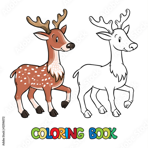 Coloring book of lttle funny young deer or fawn