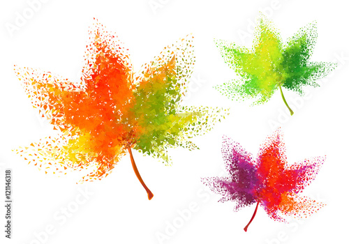 Colorful autumn leaves, vector set