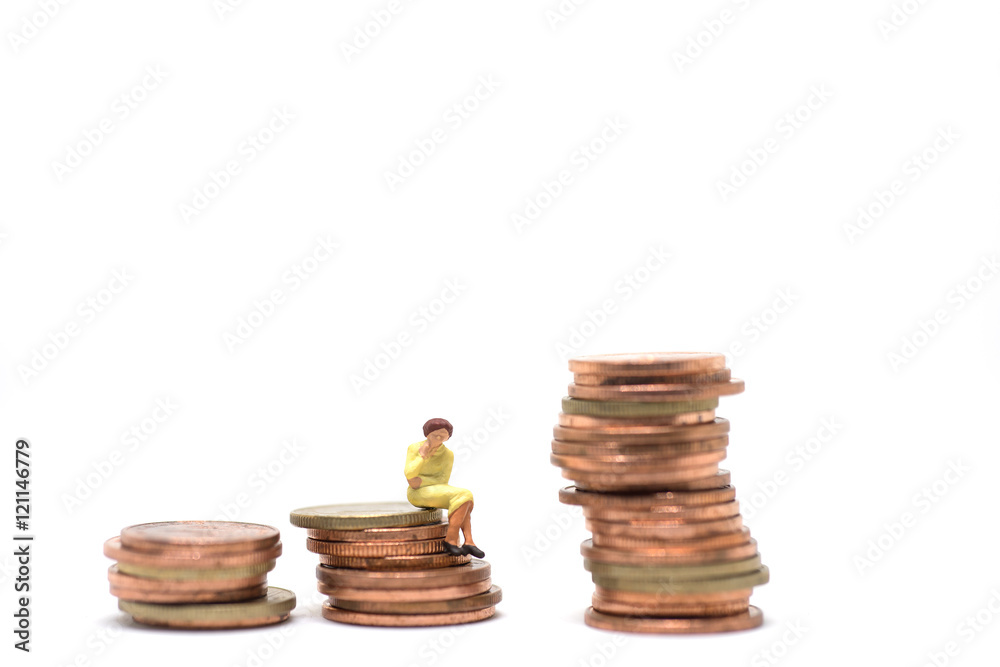 Concept of woman financial management. Concept of woman financial management.