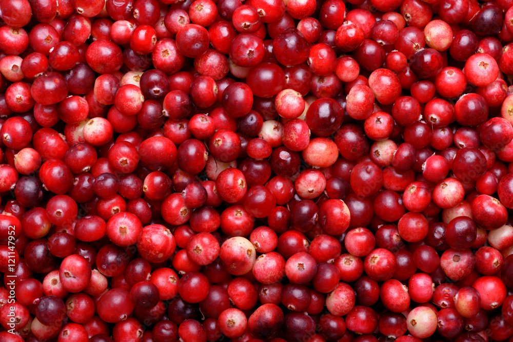 Red ripe cranberries background. Cowberry foxberry berries Red ripe cranberries background. Cowberry foxberry berries