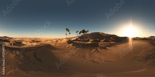 panorama of palms in desert at sunset. made with the one 360 deg