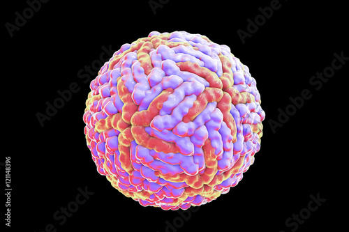 Foto Zika virus illustration