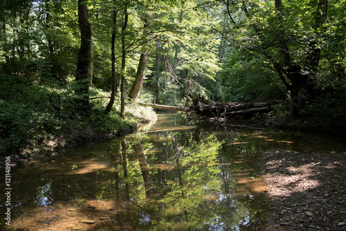 River deep in mountain forest. Nature composition. Mountain river flowing through the green forest..