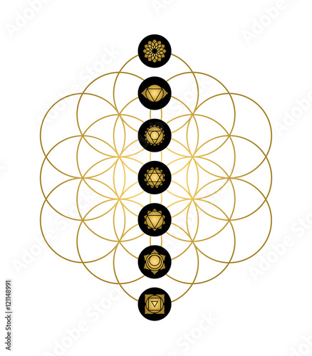 Modern yoga design chakra icons in gold color