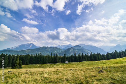 Rusinowa Polana in Tatra Mountain, Poland