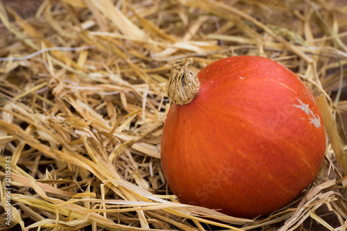 Hokkaido pumpkins