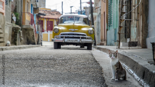 фотографія streetlife im Santiago de Cuba: vintage car and cat