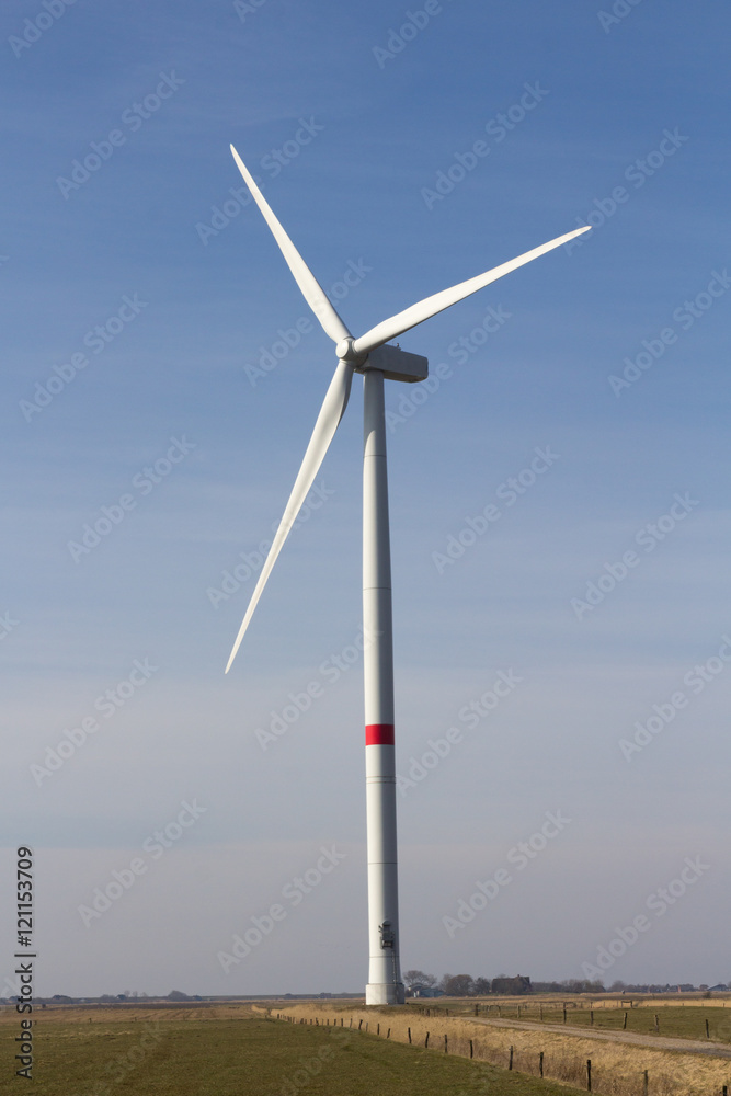 Windrad steht auf einem Feld vor blauem Himmel