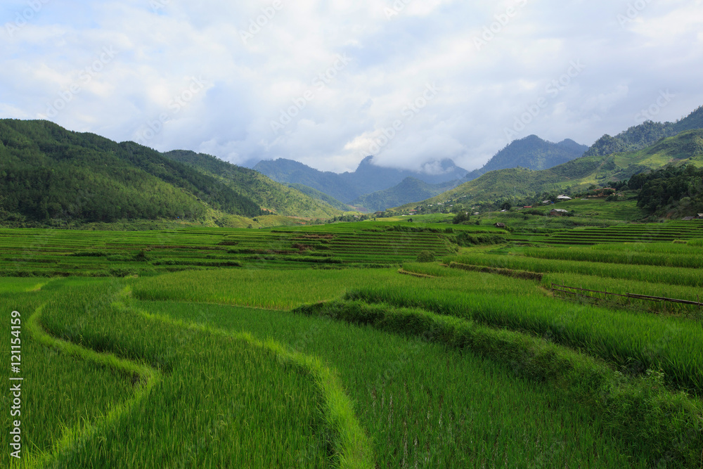 Rice fields on terraced of Xa Nam Bung, Vietnam