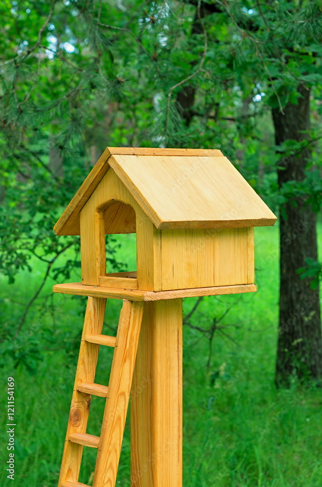 feeder for squirrels: wooden house with stairs in the forest feeder for squirrels: wooden house with stairs in the forest