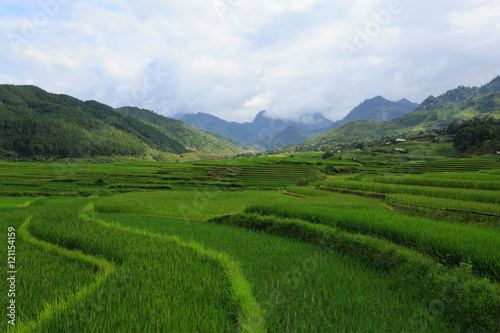 Rice fields on terraced of Xa Nam Bung, Vietnam