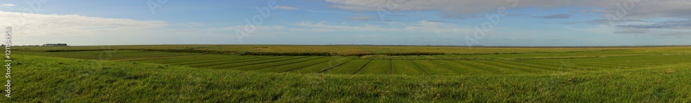 Obraz premium Panoramic view of the North Sea at low water