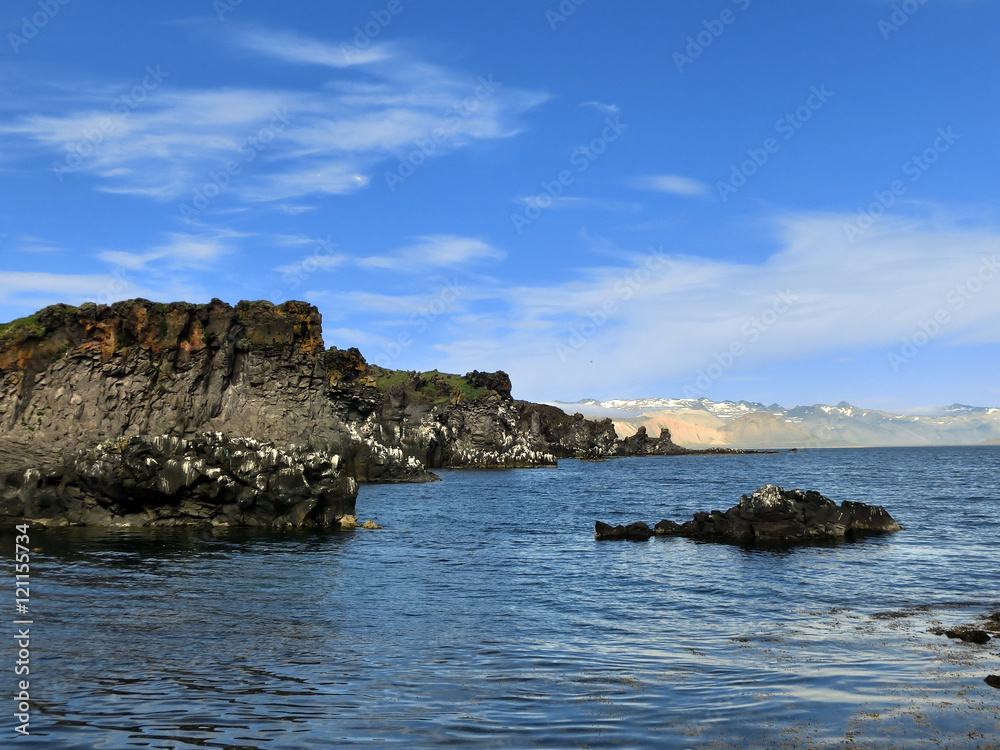 Rocky coastline Icelandic bird habitat