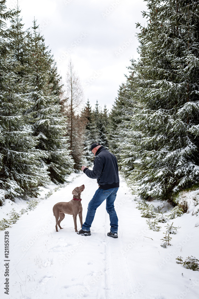 Hundeschule im Winterwald