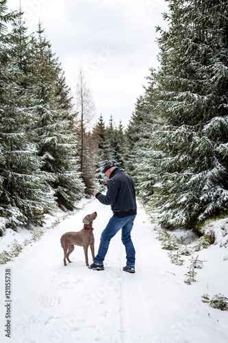 Hundeschule im Winterwald