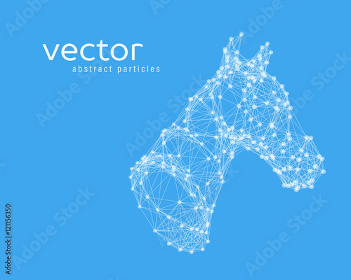 Abstract vector illustration of horse head.