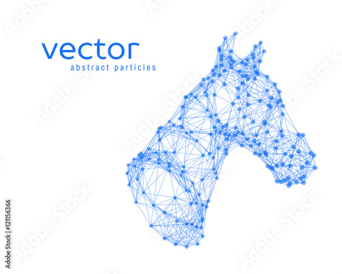 Abstract vector illustration of horse head.