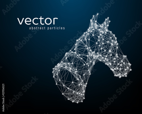 Abstract vector illustration of horse head.