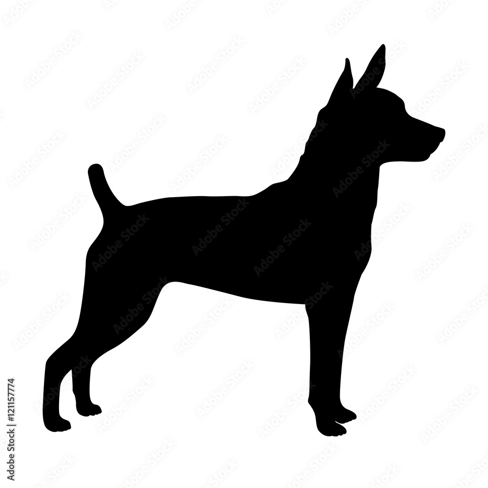 Dog rat terrier Vector illustration  black silhouette
