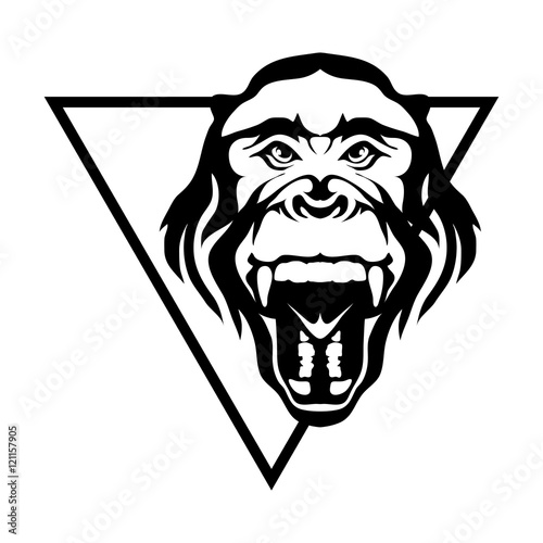 monkey logo