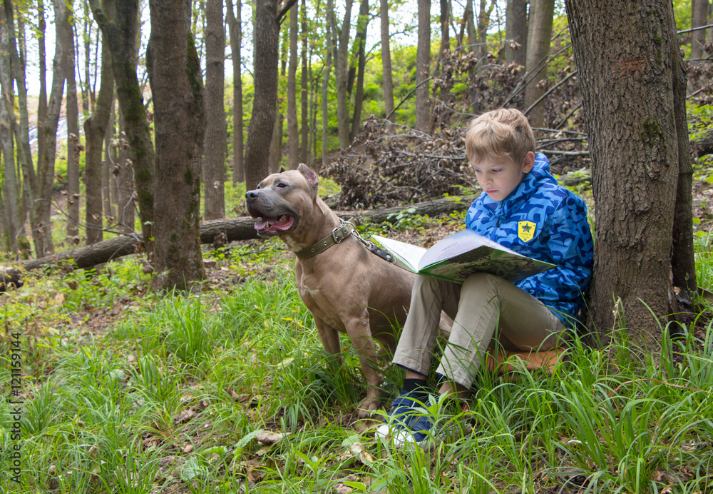 Little boy reading a book under big tree Little boy reading a book under big tree