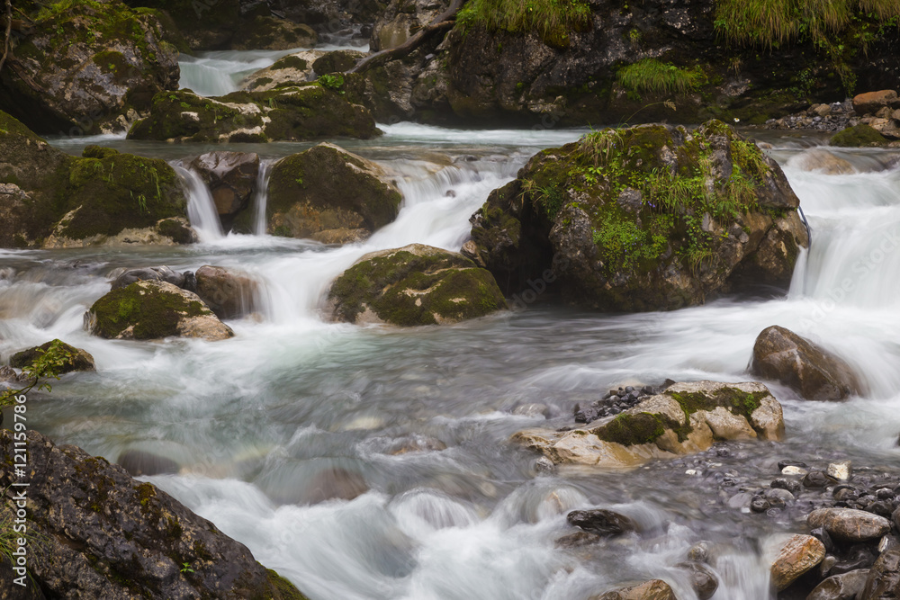 fast forest river - endless stream