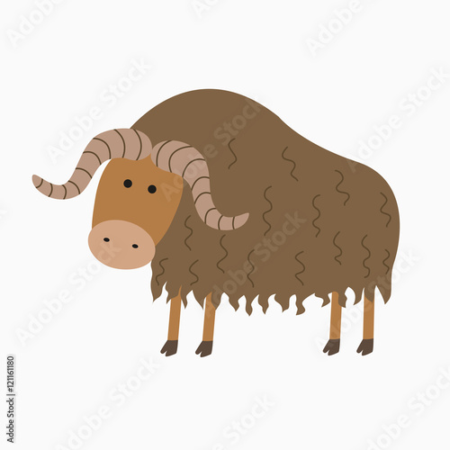 musk ox illustration for the children