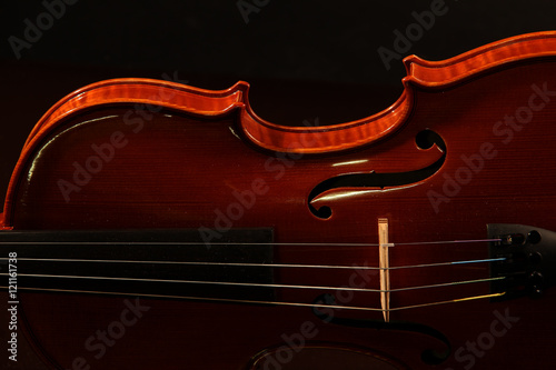 Violin