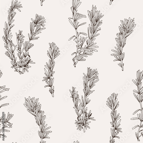 Seamless vector pattern with hand drawn rosemary