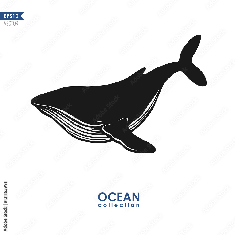 Obraz premium vector humpback whale