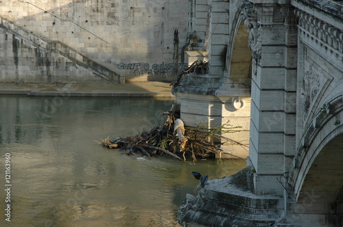 Brücke am Tiber. Mit Treibgut. photo